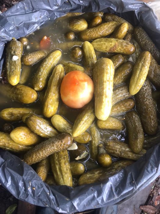 Muraturi autentice de Milisauti
