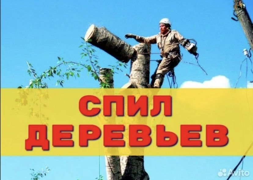 Профессиональный спил деревьев