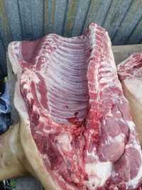 Продам мясо свинина 2200 за кг
