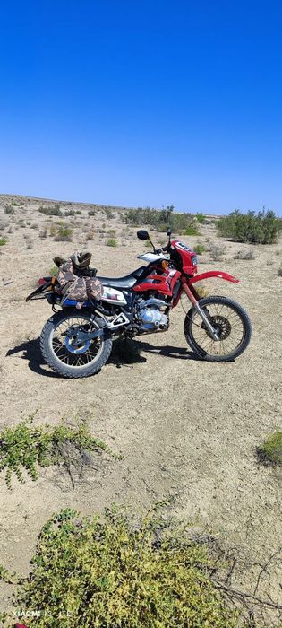 Matatsikl lifan endura