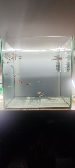 Продам аквариум с рыбками