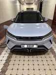 Byd yuan up 2024