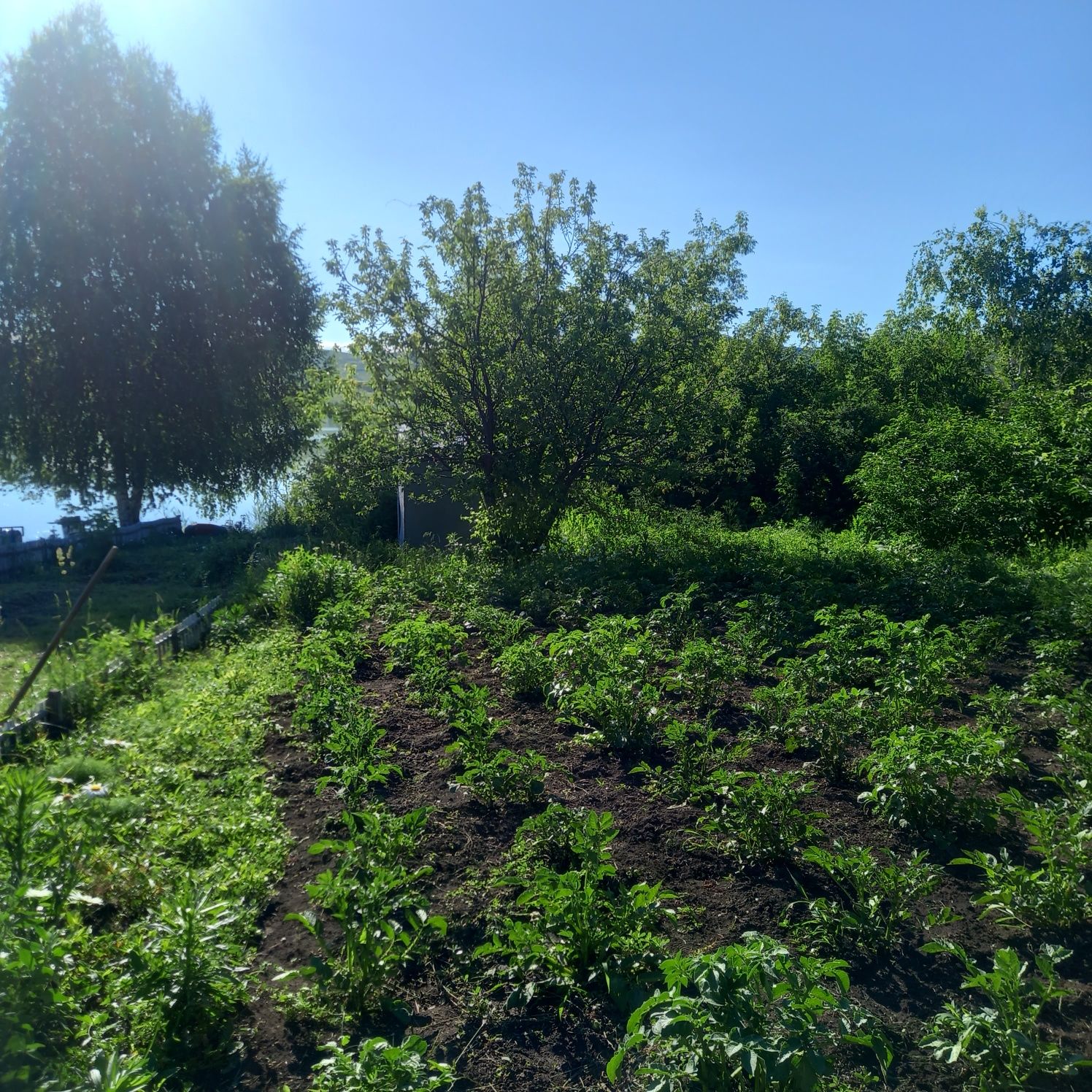 Продам Дачу на берегу Иртыша