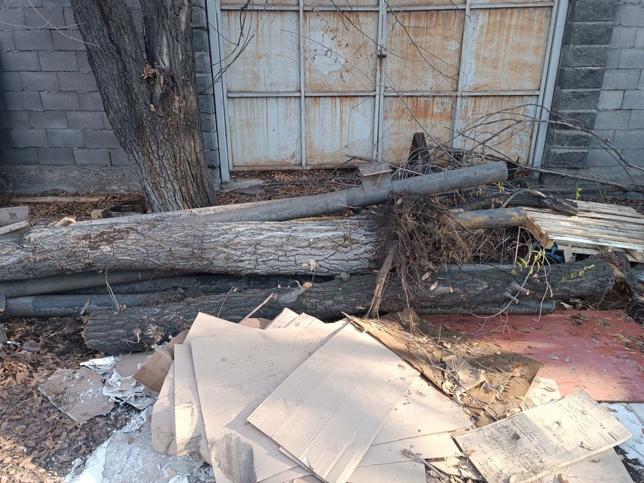 Дрова даром карагач