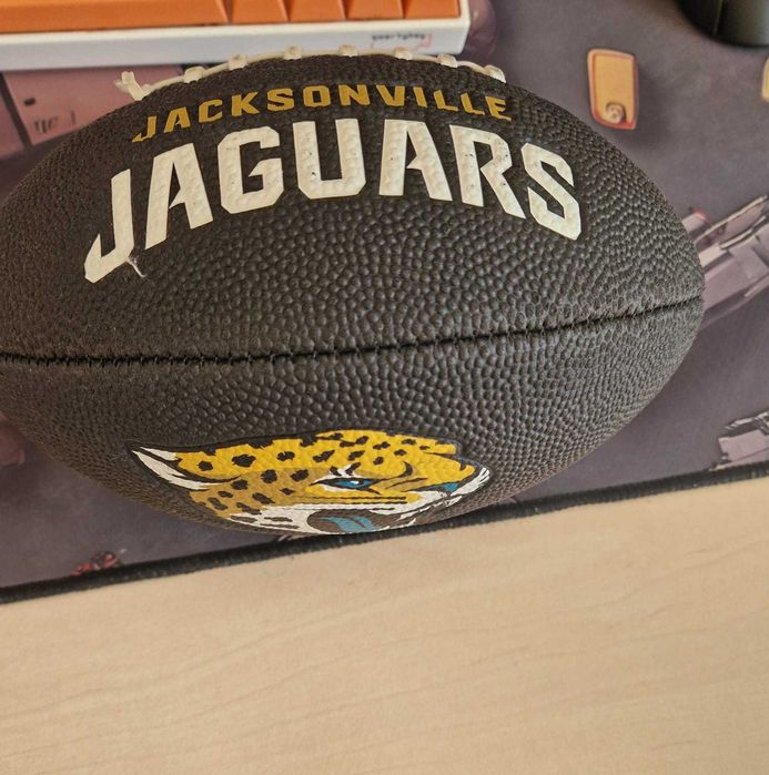 Wilson,Minge NFL MINI,Jacksonville Jaguars.