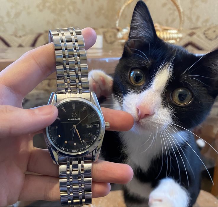 Мужские часы, кварцевые. Подарок для мужчин