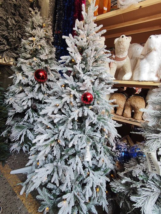 Qorli archa arzon narxlarda