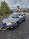 Vand Audi A4, B7