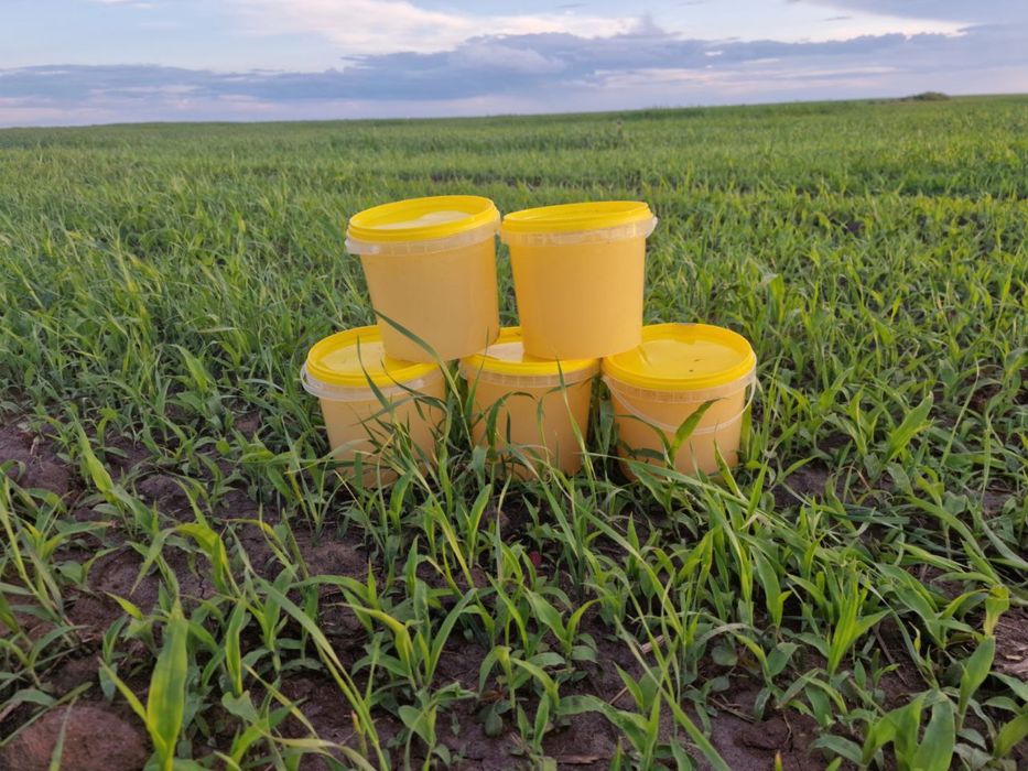 Натуральный мед