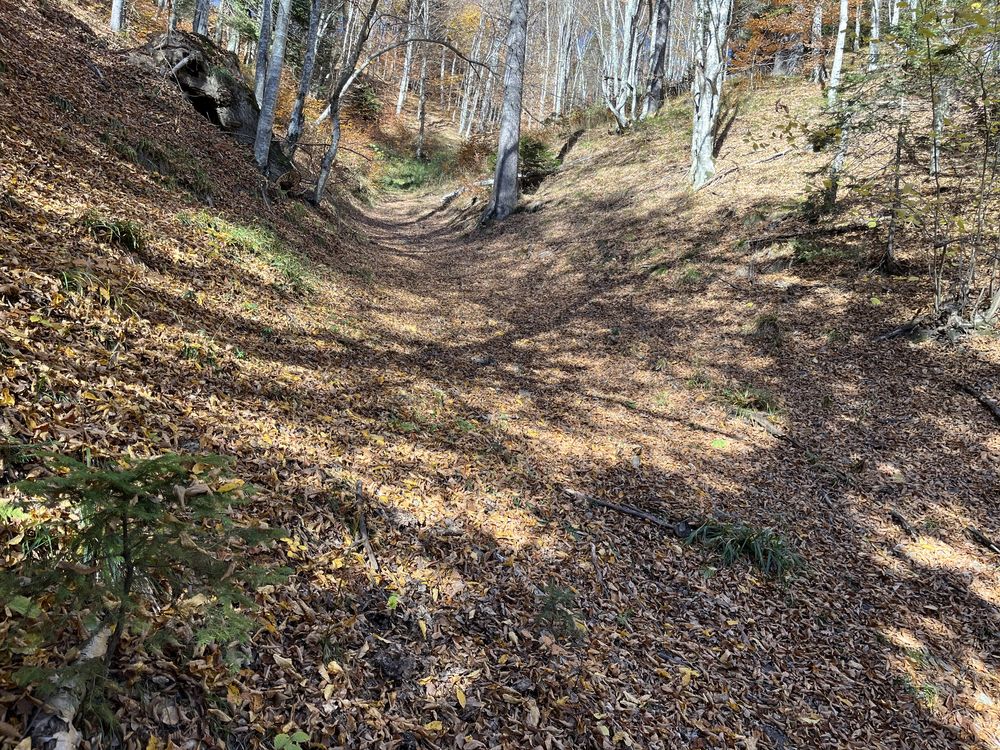 Teren intravilan Poiana Brasov cu PUZ