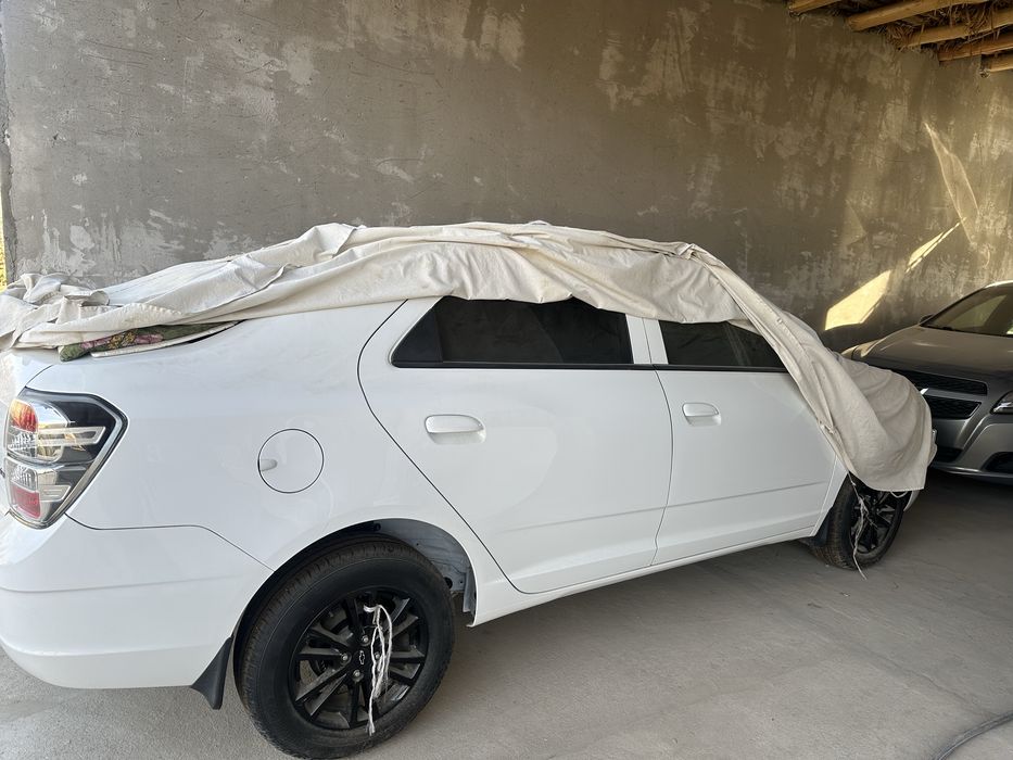 Cobalt midnight 2025