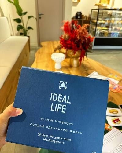 Трансформационная игра Ideal Life