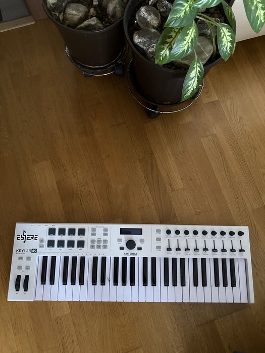 Arturia keylab 49