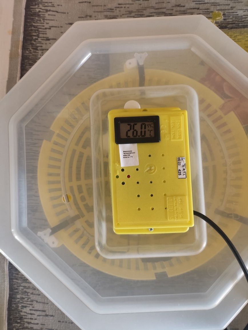 Incubator cleo 5