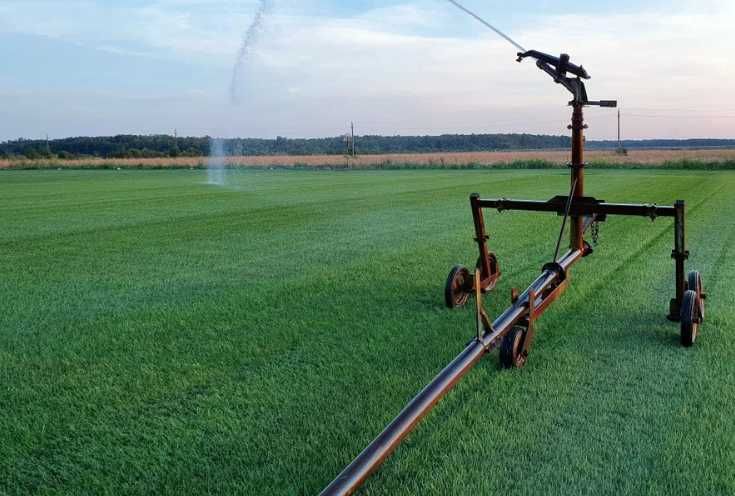 Transformare grădină: gazon natural și irigare automată