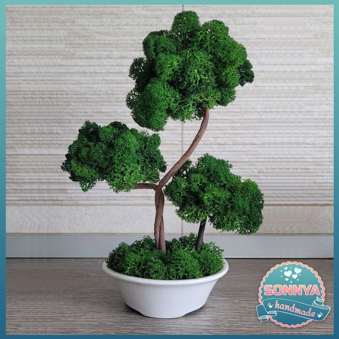 Copac cu 3 ramuri , cu licheni stabilizati