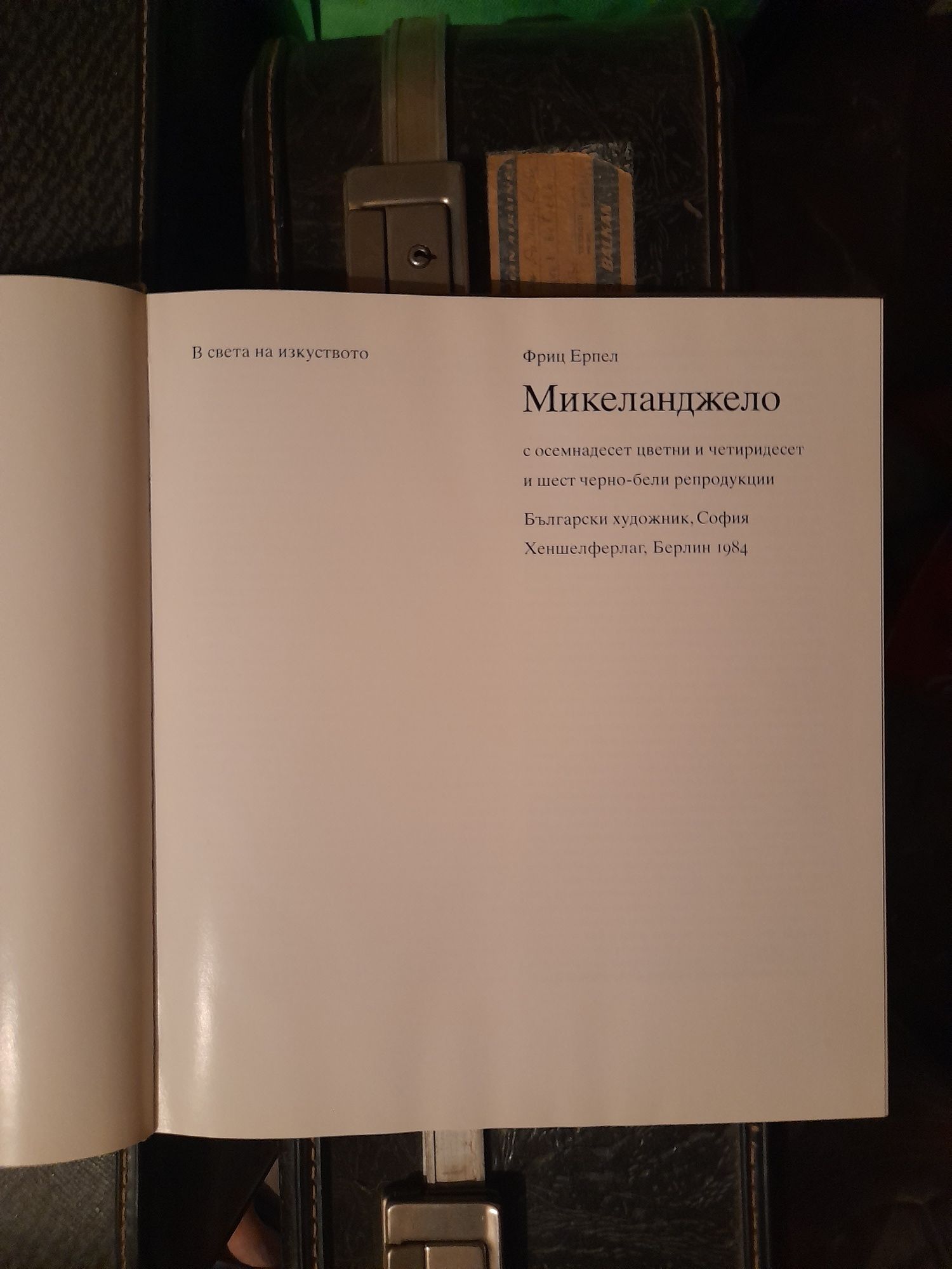 Две илюстровани книги на Микеланджело и Донатело
