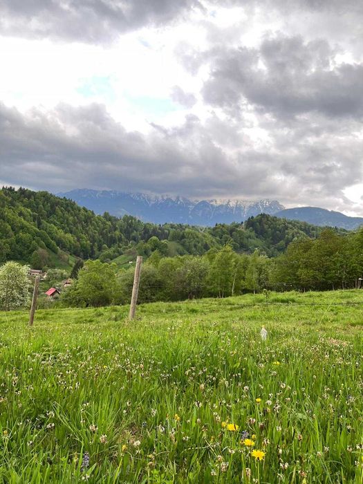 PROPRIETAR - 3274 mp intravilan Simon (BRAN)