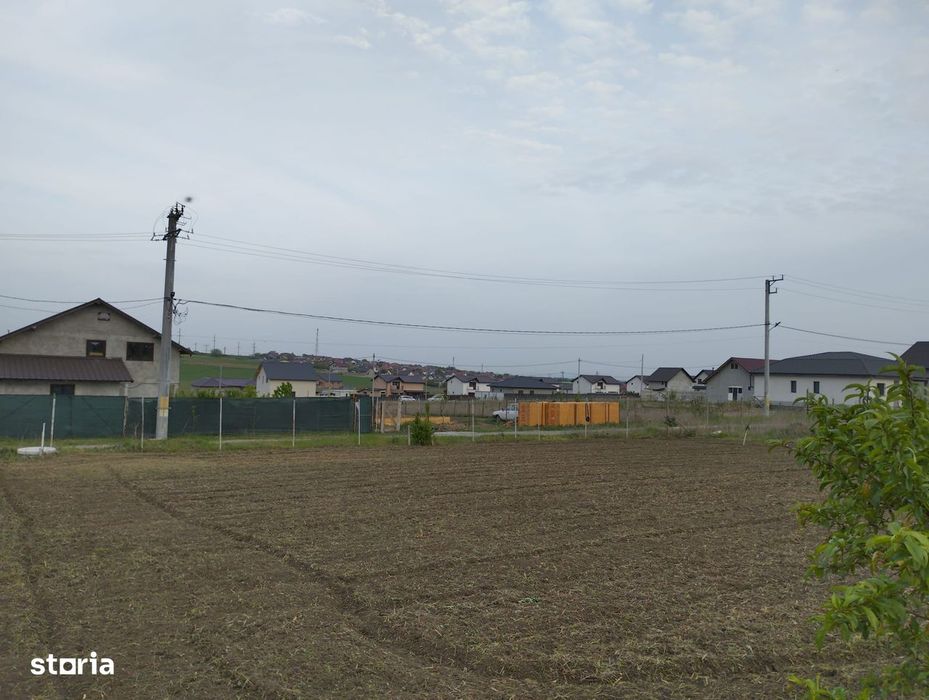 Teren 800 Mp Sendreni