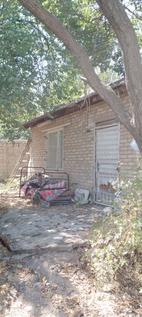 Дача паркент навбахор