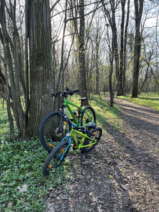 Cannondale Trail 7 29, verde marime L