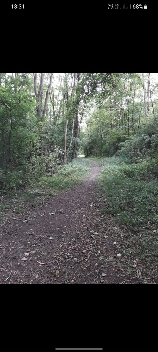 Se vinde Padure zona vrancea 1 hectar sau schimb cu loc de casa!