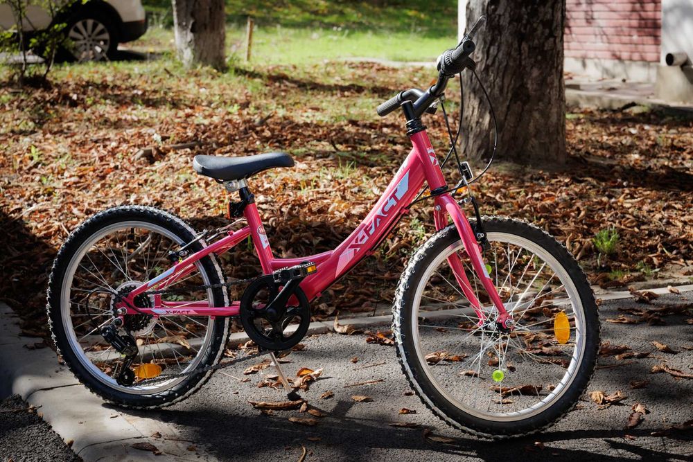 Bicicleta copii 20 inch X-Fact