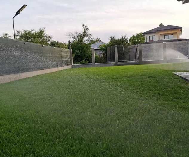 Gazon Rulou Sport / Premium