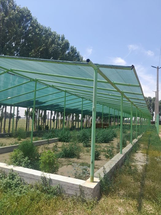 Мол ферма сотилади