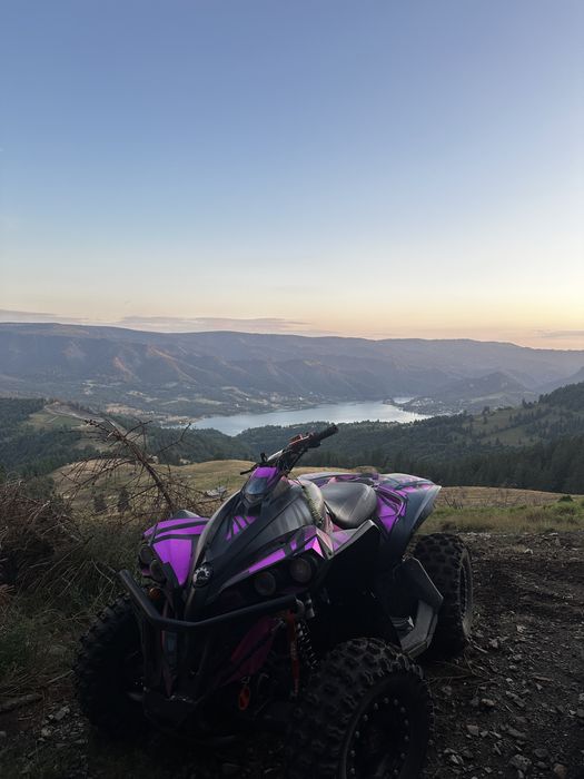 Can am renegade 1000R