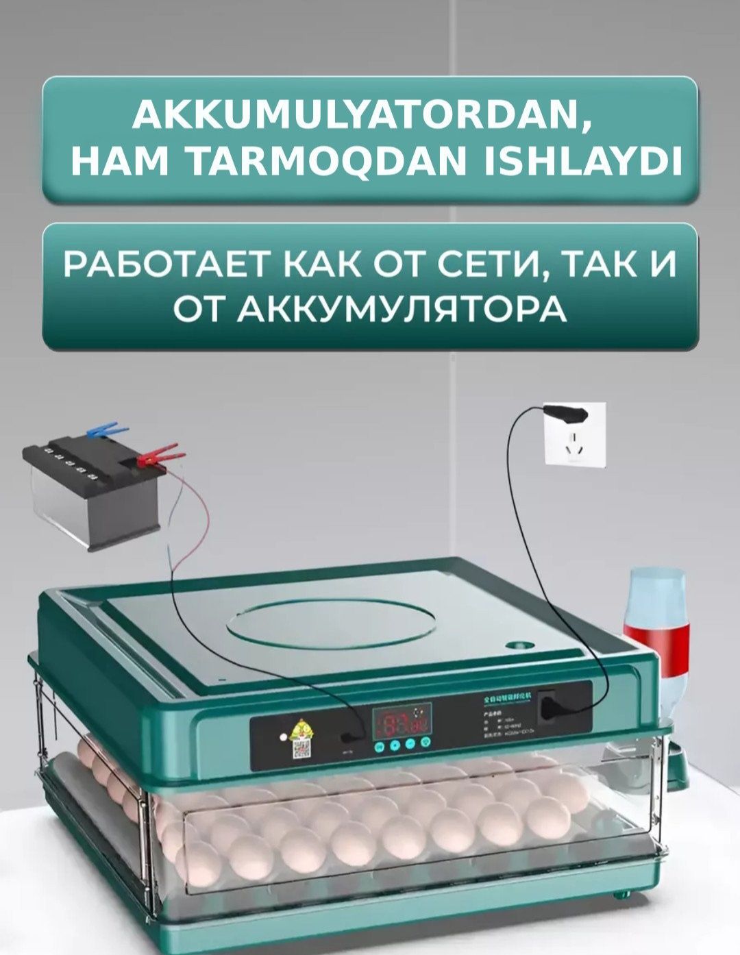 Инкубатор для яиц