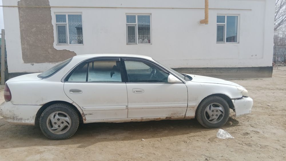 Сатылады журип тур