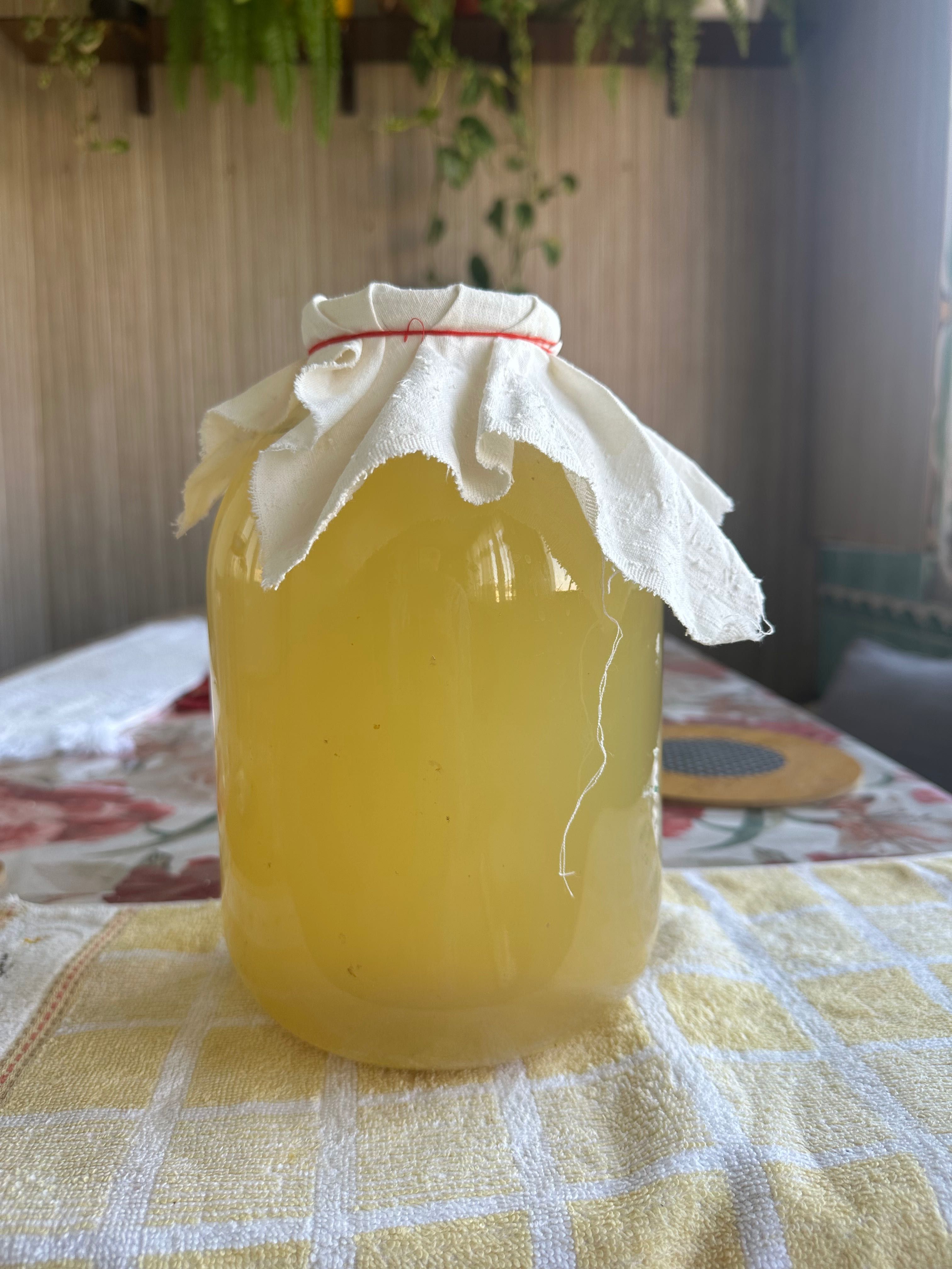 Яблочной уксус домашний