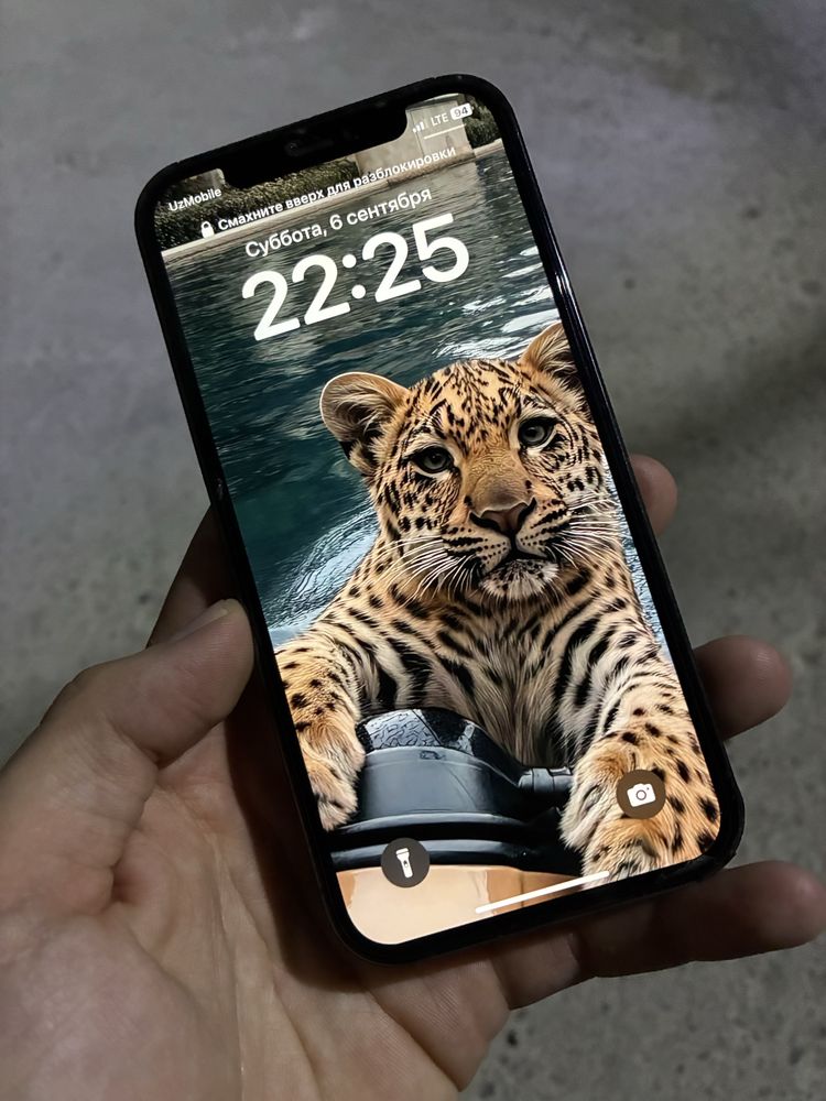 iPhone 12Pro 256
