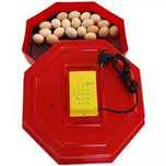 Repar orice tip de clocitori oua ( incubatoare )