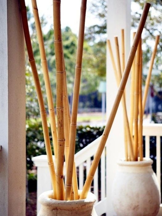 Пръчки Естествен Бамбук, Диаметър от 2 до 16 см, Пръти с дълж. 300 см