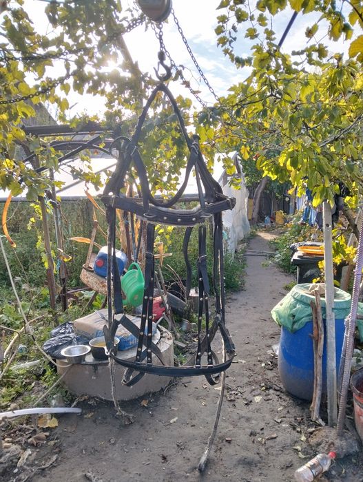 Vând  Ham de piele pentru cal