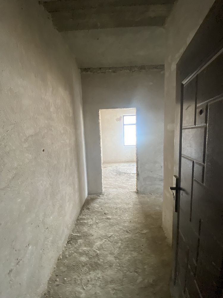 Бухородаги энг арзон уй