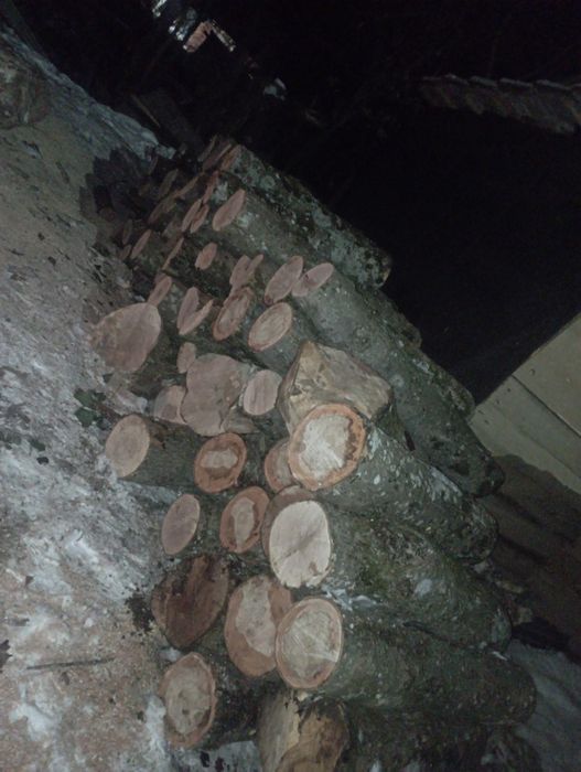 Vând lemne de foc esență tare