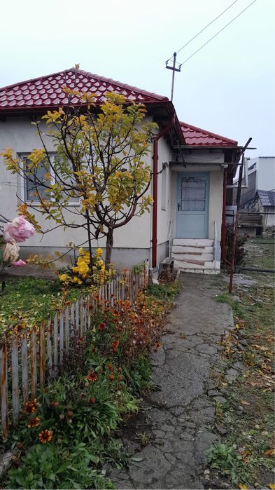 Vand casa cu teren si vie