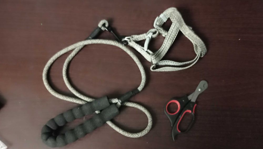 До 1 декабря Набор для питомца: шлейка, поводок 110 см, когтерезка