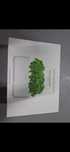 Ocazie ! Gradina inteligenta, Click & Grow, The Smart Garden 3, alb.