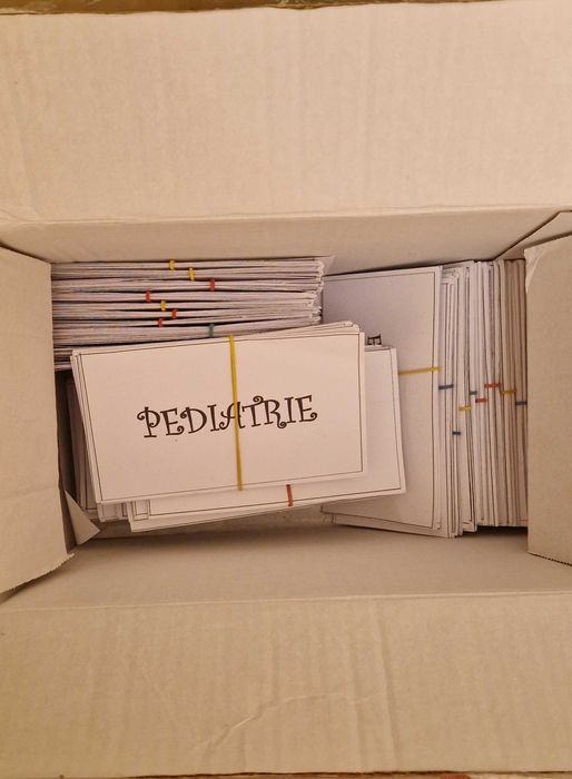 Planse Logia si flashcarduri