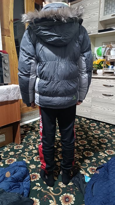 Kurtkalar har hil razmerda 50 dan