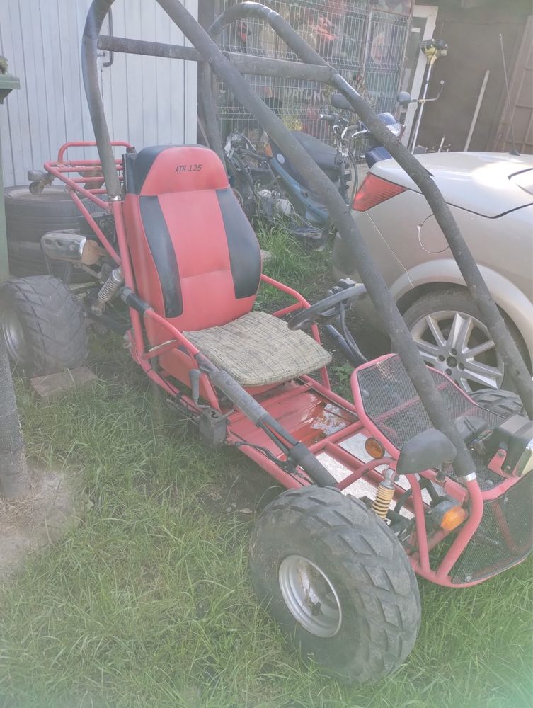 Vand buggy fara acte
