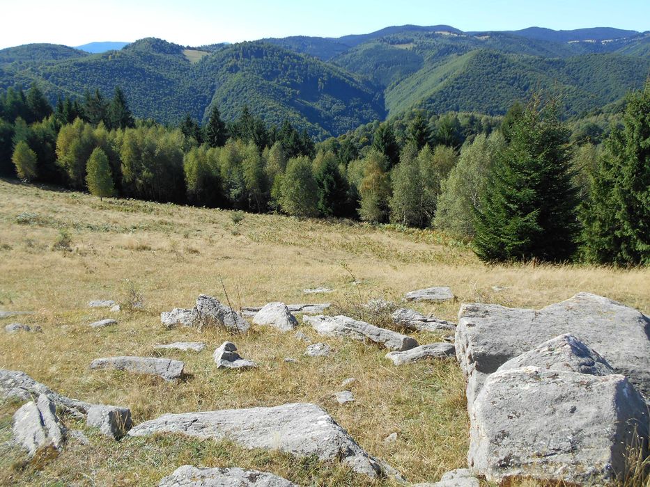 Vand teren, 2ha, la munte Saliste-Crint