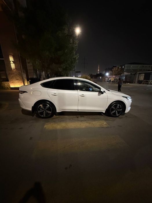 Chazor 120 km 4 pazitsa