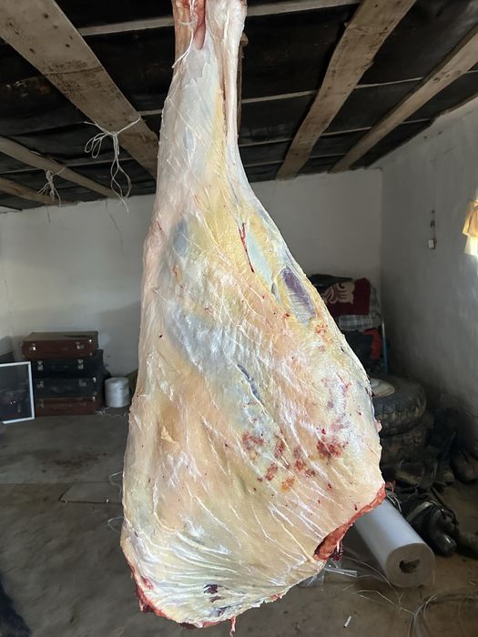 Согым ети мясо конина байтал бие жабагы соғым бар мясо ет Каратобе