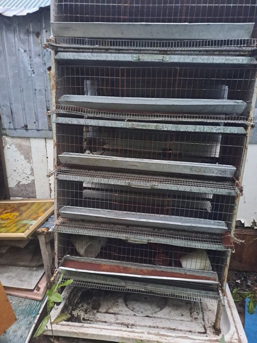 торговый павилон