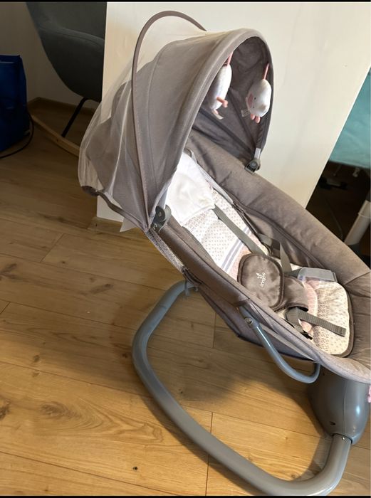 Leagan electric Cangaroo